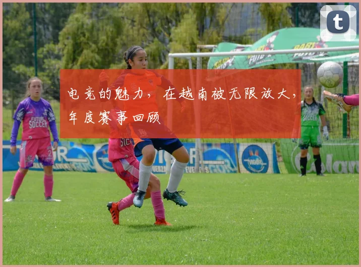 电竞的魅力，在越南被无限放大，年度赛事回顾