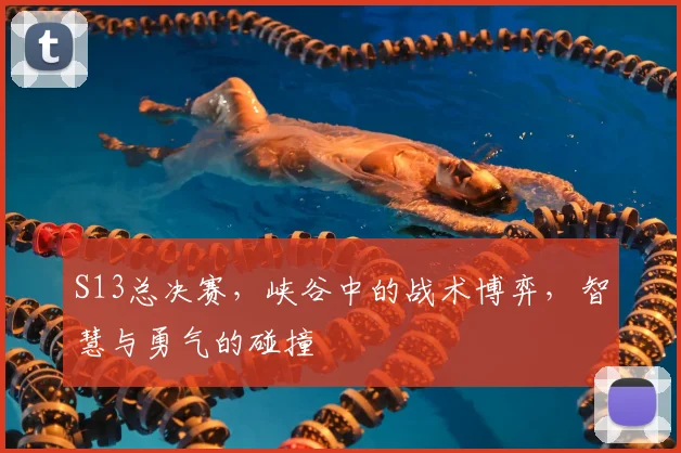 S13总决赛，峡谷中的战术博弈，智慧与勇气的碰撞